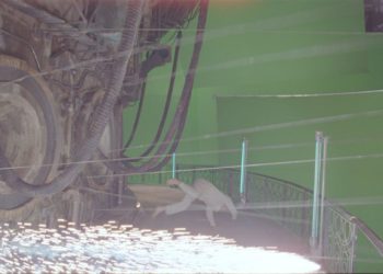 Zero Theorem – zero kompromisów