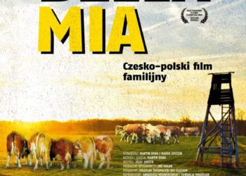 „BELLA MIA”, czyli film ze zwierzętami w rolach głównych – uwagi o produkcji
