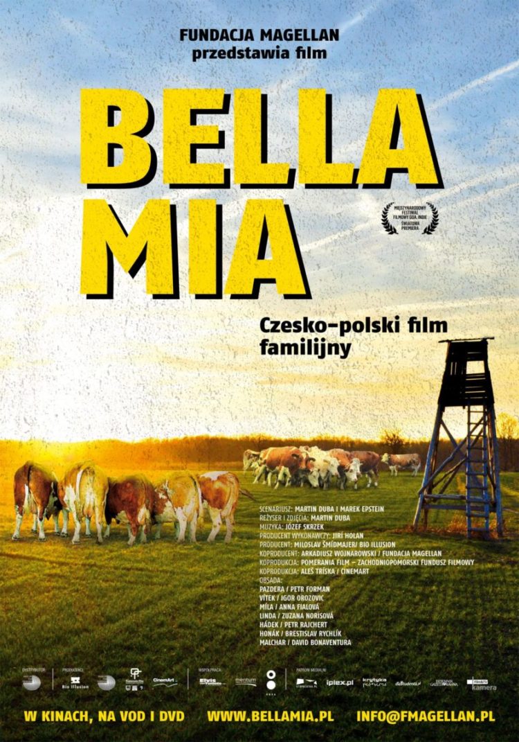 „BELLA MIA”, czyli film ze zwierzętami w rolach głównych – uwagi o produkcji