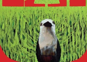 ŚWIĘTO FILMU I PRZYRODY PO RAZ SIEDEMNASTY