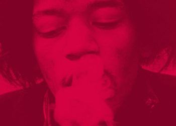 Tofifest wystartował