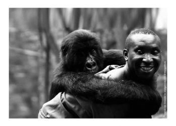 13. Gdańsk DocFilm Festival