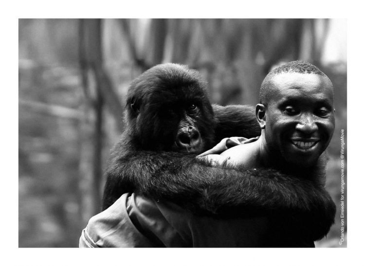 13. Gdańsk DocFilm Festival