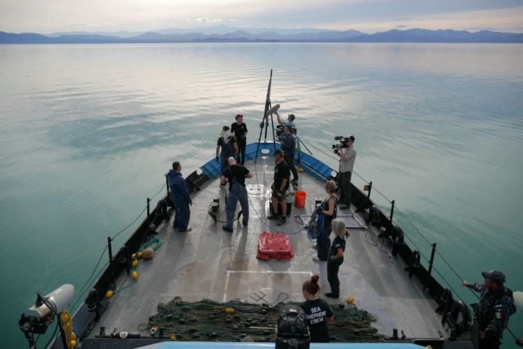 Ekologiczny thriller „Zatoka cieni” wyprodukowany przez Leonardo DiCaprio w grudniu na kanale National Geographic
