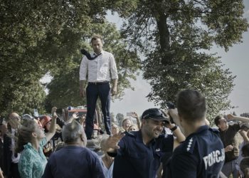 Nowe polskie kino w Nowym Roku