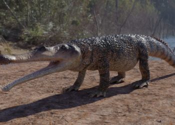 Powstanie animowany komputerowo film paleontologiczny – „Prehistoryczne gady Polski”