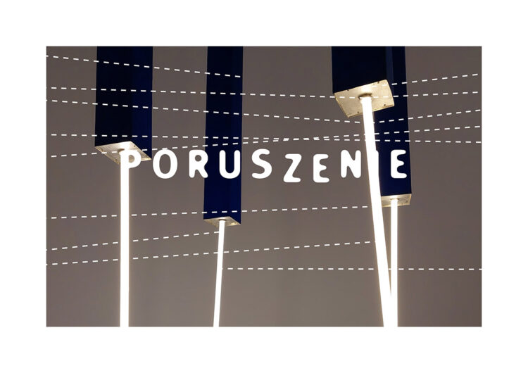 Projekt „Poruszenie”