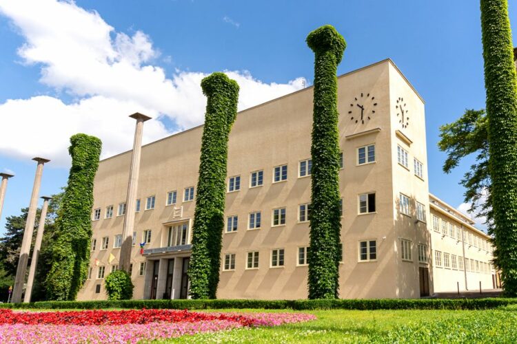 CeTA ponownie Wytwórnią Filmów Fabularnych we Wrocławiu